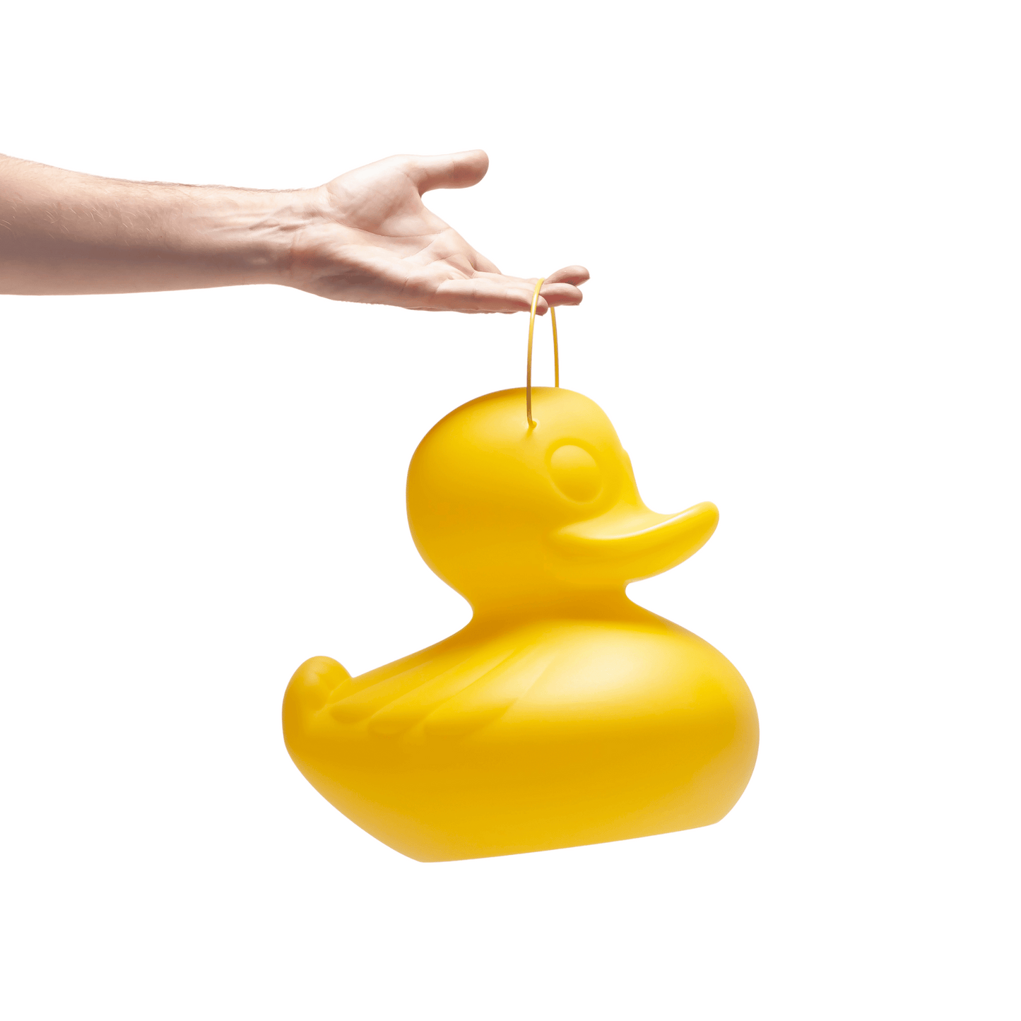 DUCK Lamp